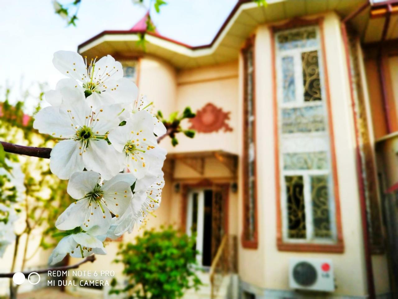 Rakat Inn Navigator Tashkent Luaran gambar